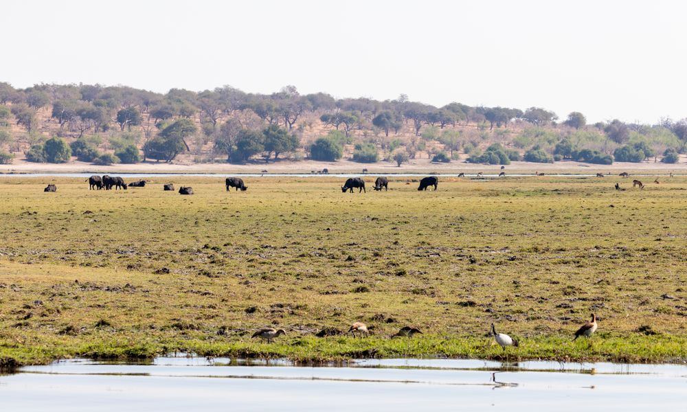 2019_09_Botswana