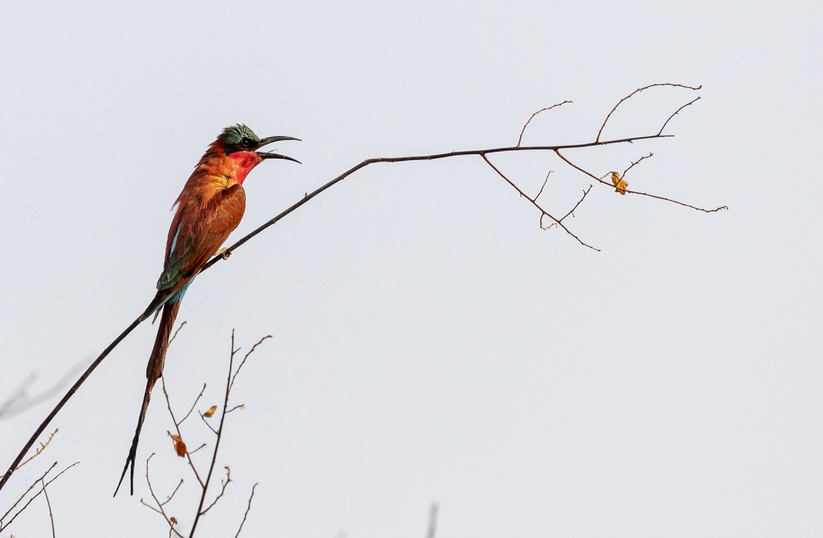 2019_09_Botswana_Namibia