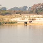 2019_09_Botswana_Namibia