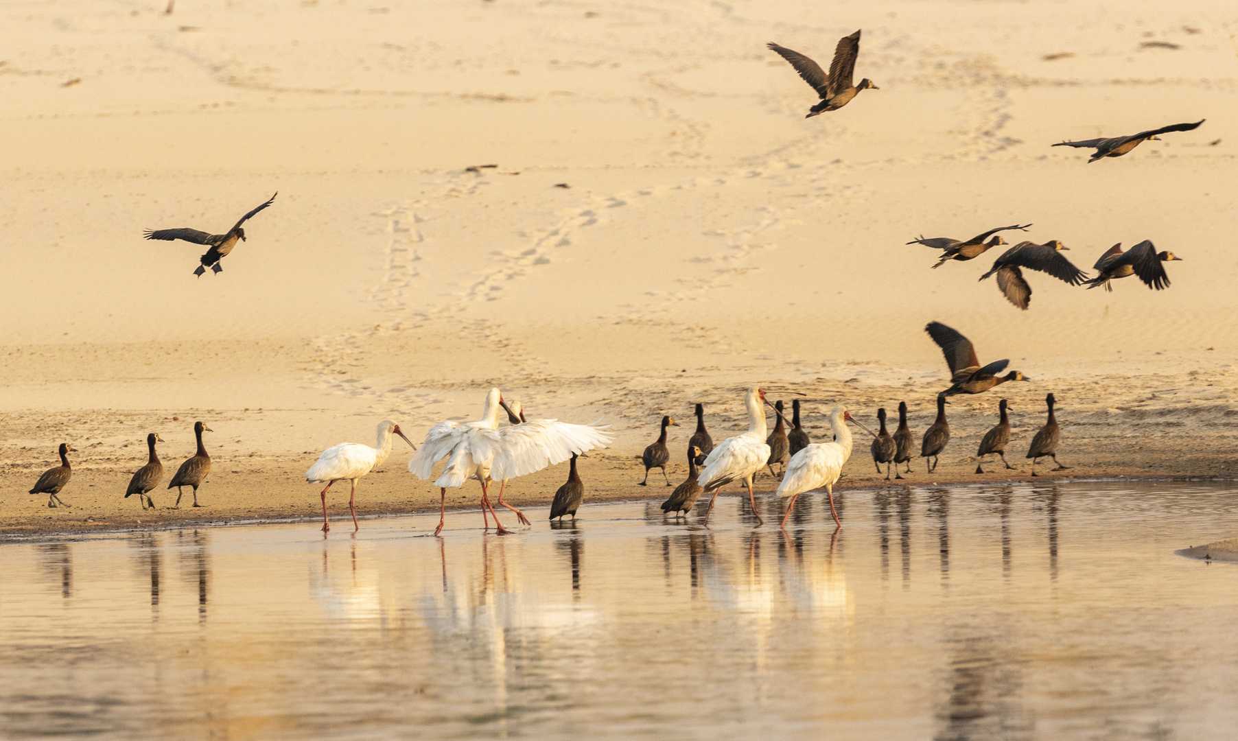 2019_09_Botswana_Namibia