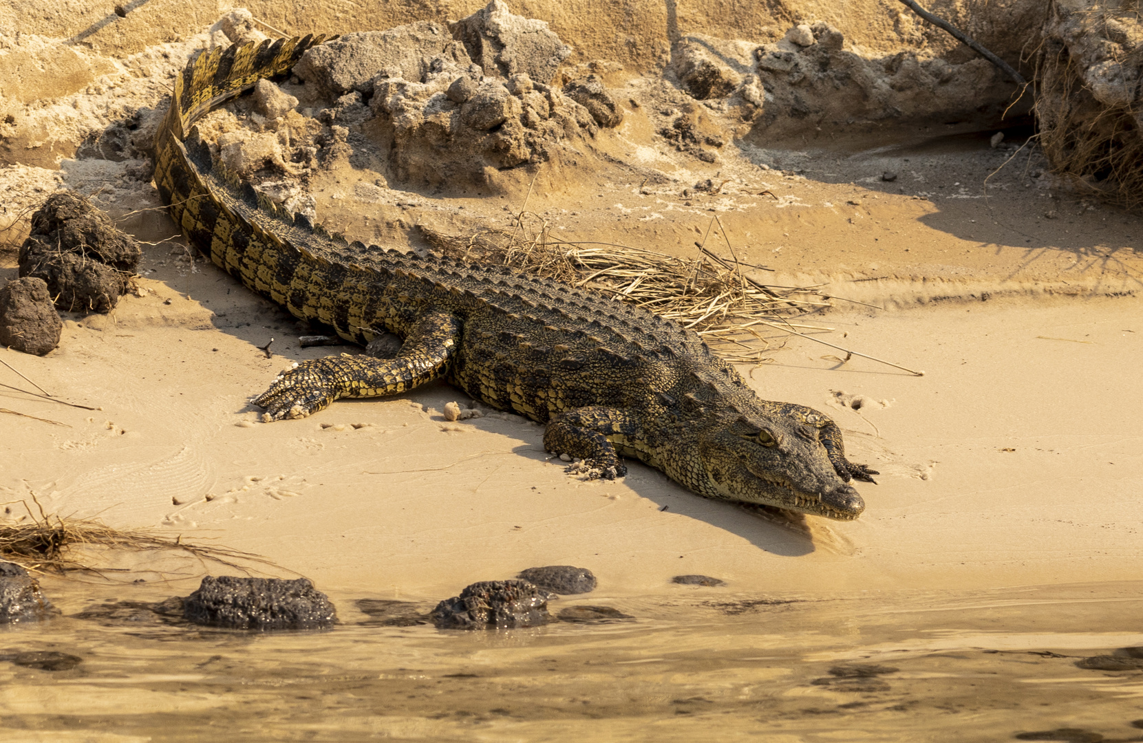 2019_09_Botswana_Namibia