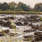 2019_09_Botswana_Namibia