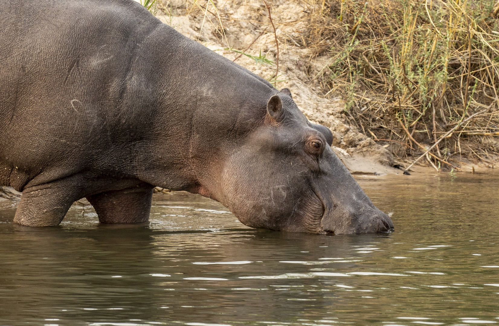 2019_09_Botswana_Namibia