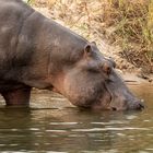 2019_09_Botswana_Namibia