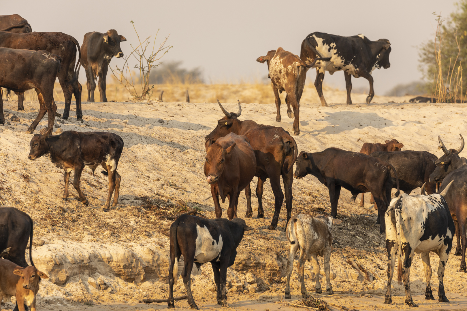 2019_09_Botswana_Namibia