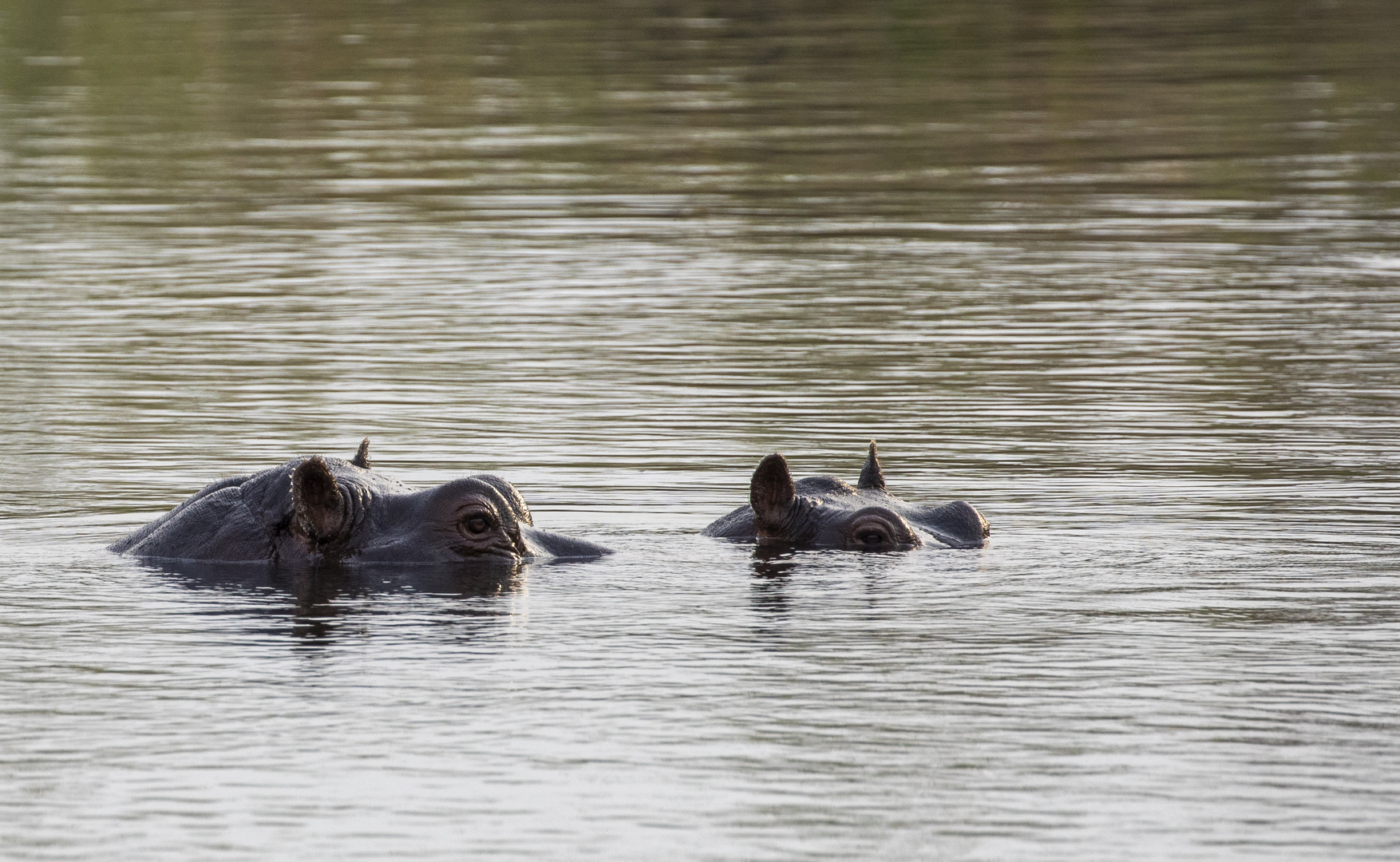 2019_09_Botswana_Namibia