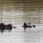 2019_09_Botswana_Namibia