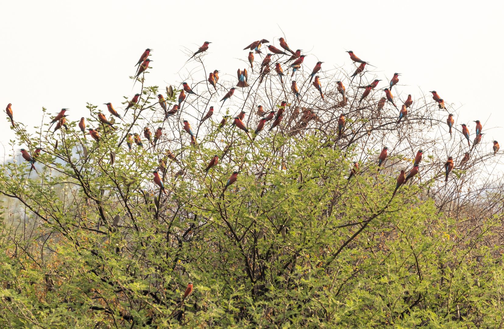 2019_09_Botswana_Namibia