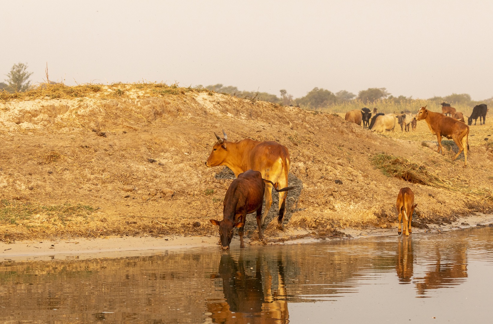 2019_09_Botswana_Namibia