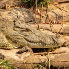 2019_09_Botswana_Namibia