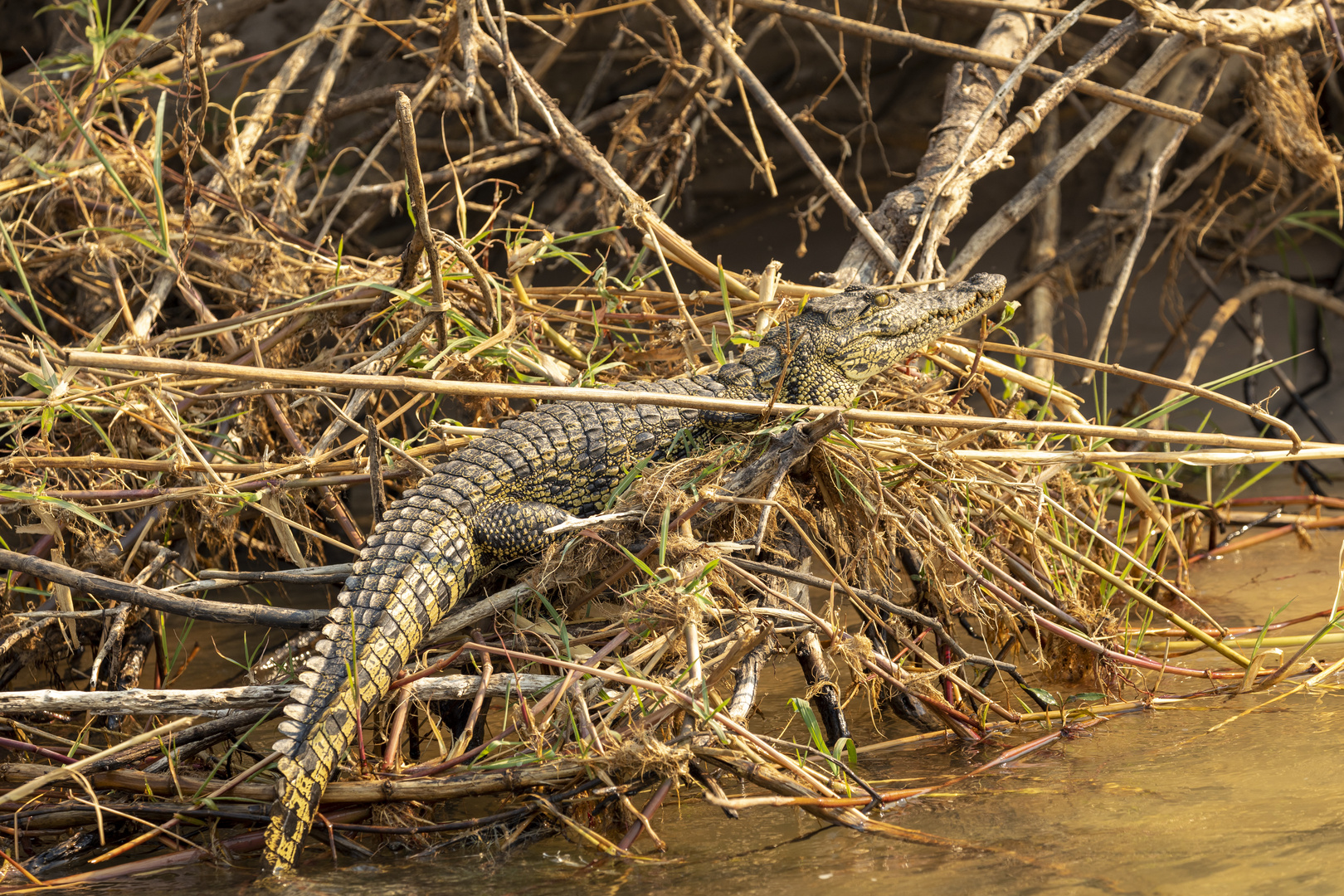 2019_09_Botswana_Namibia