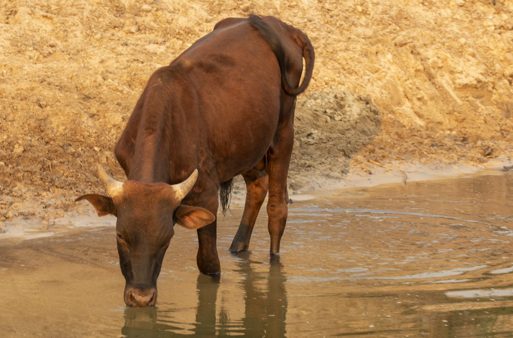 2019_09_Botswana_Namibia