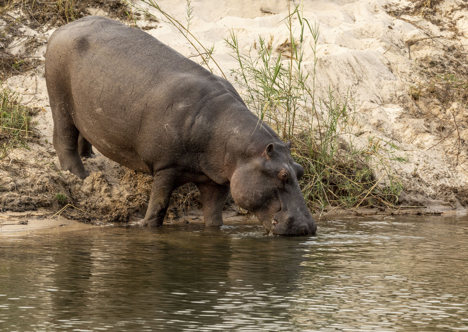 2019_09_Botswana_Namibia_1123