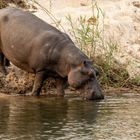 2019_09_Botswana_Namibia_1123