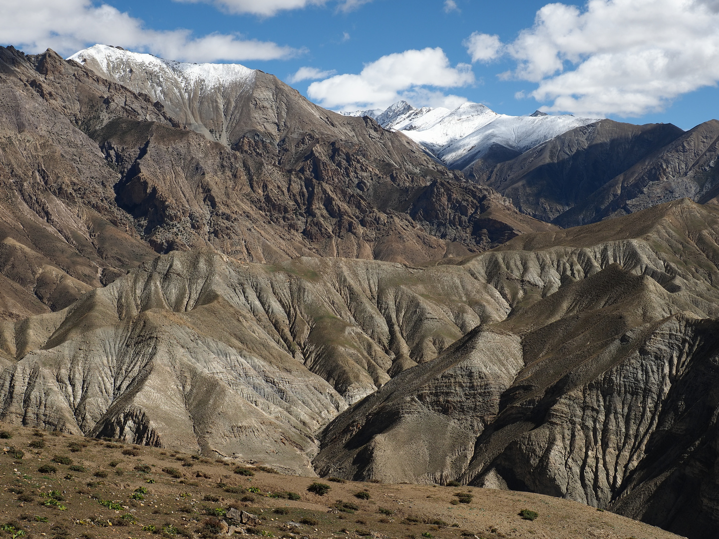 20191001  Saldang 4030m Upper Dolpo