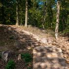 20191002--15-49-_D8E7642-1 Treppe zum Aussichtspunkt