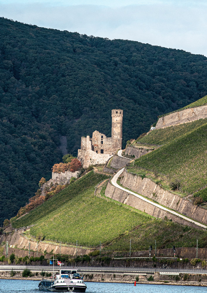 20191003--09-34-_D8E7686-1  Ruine Buirg Ehrenfels