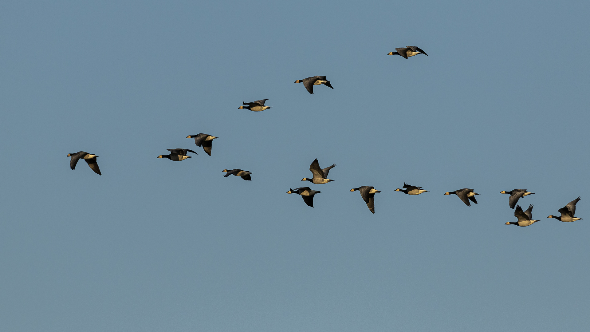 20191006 - Westerhever-Leuchtturm - CS8A1463