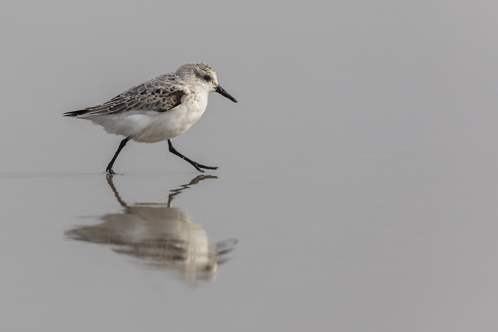 20191009 - St. Peter-Ording - _U8A1513