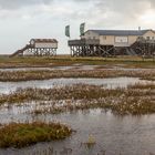 20191010 - St. Peter Ording - IMG_8552