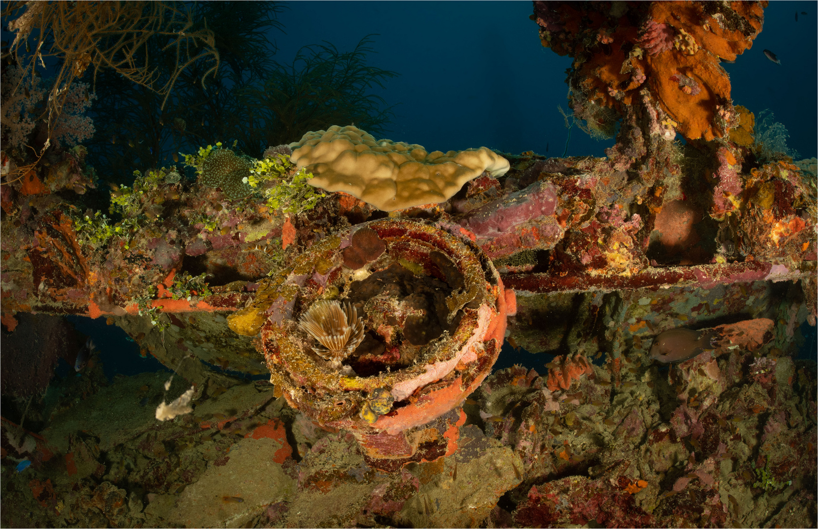 20191022 Chuuk Lagoon 1188-Bearbeitet