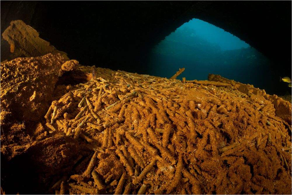 20191028 Chuuk Lagoon 7522-Bearbeitet