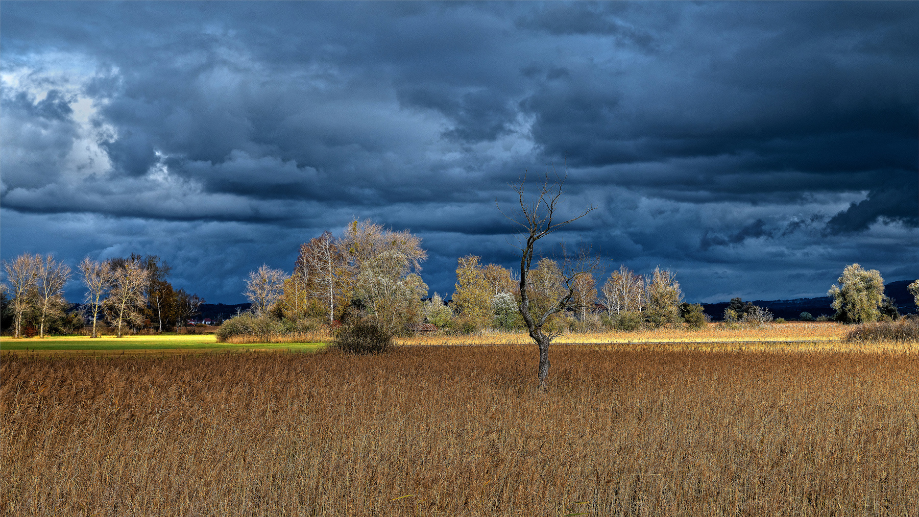 20191106 Rheindelta Vlbg 002