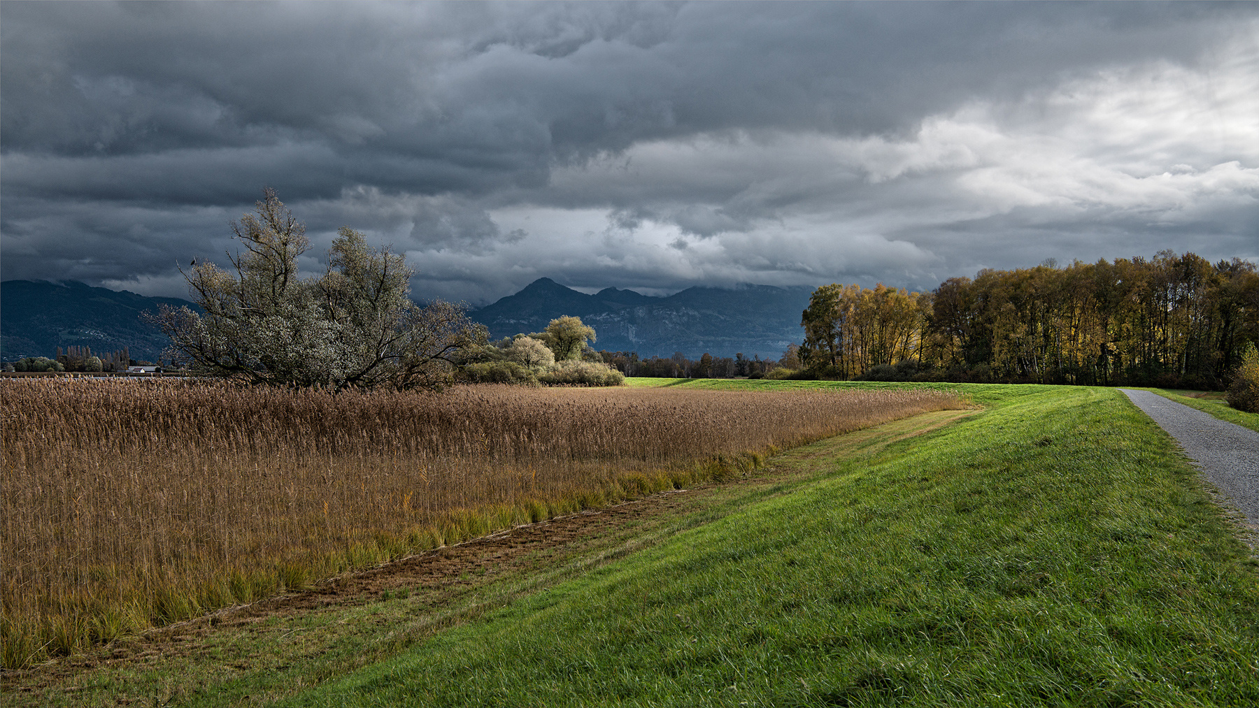 20191106 Rheindelta Vlbg 004