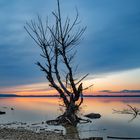 20191118 - Chiemsee Unterhochstätt-3