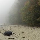 2019_Ostsee im Nebel, wann seh'n wir dich wieder?