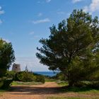 2020-01-01 Ibiza / Torre de sa Sal Rossa