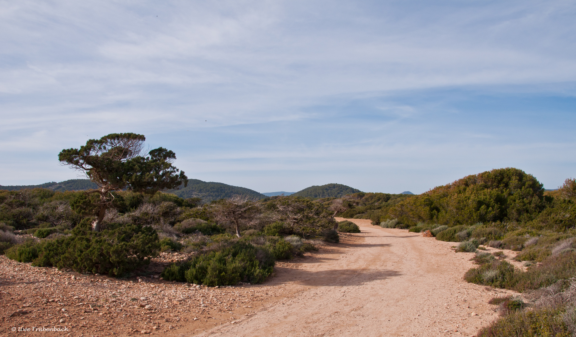 2020-01-27 Ibiza / Im Naturschutzgebebiet Ses Salines