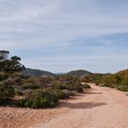 2020-01-27 Ibiza / Im Naturschutzgebebiet Ses Salines