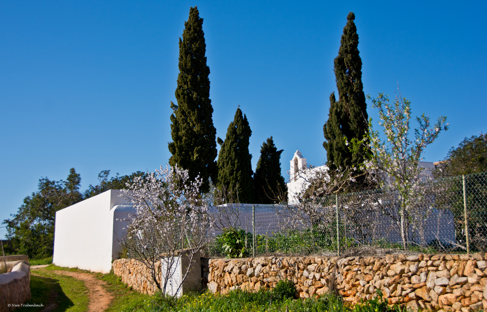 2020-01-31 Ibiza / Santa Agnès de Corona