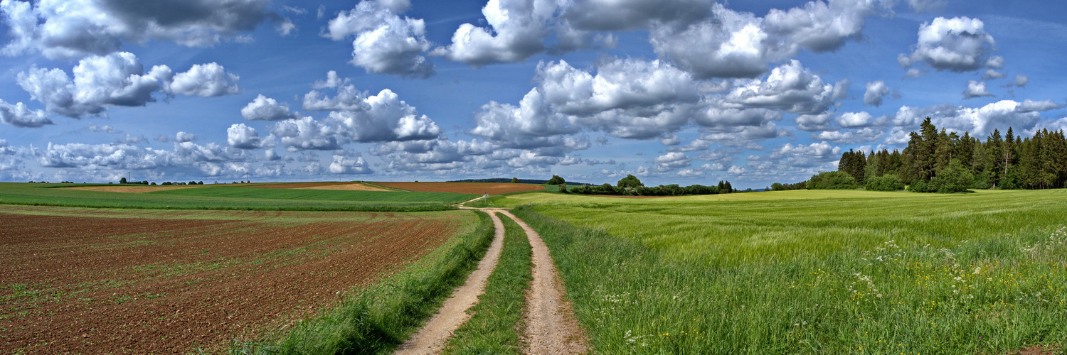 2020-05-24 Weg in die Ferne