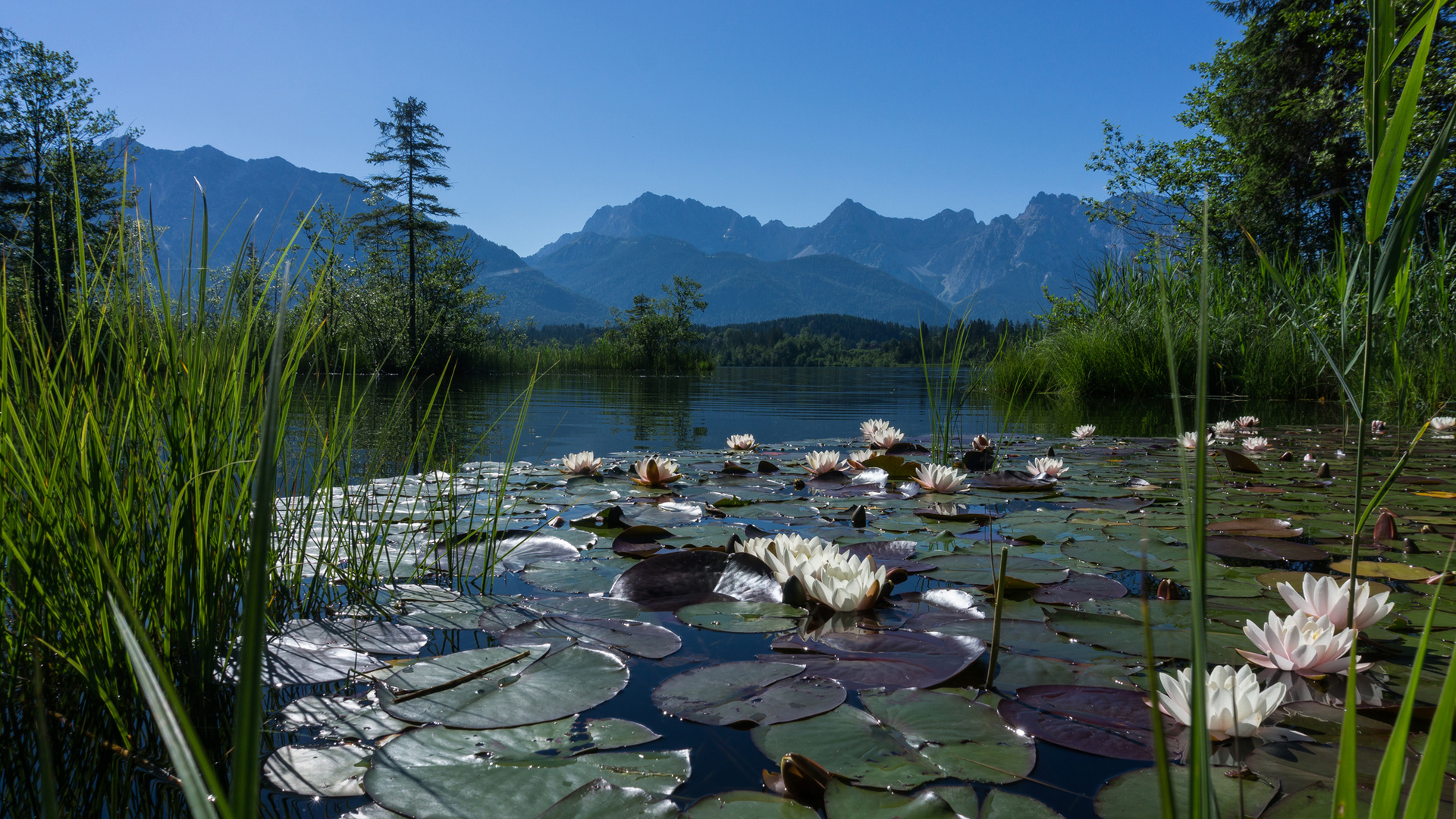 2020 07 05 Krün-Barmsee