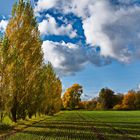 2020-10-24 unterwegs in der Natur bei Donaueschingen