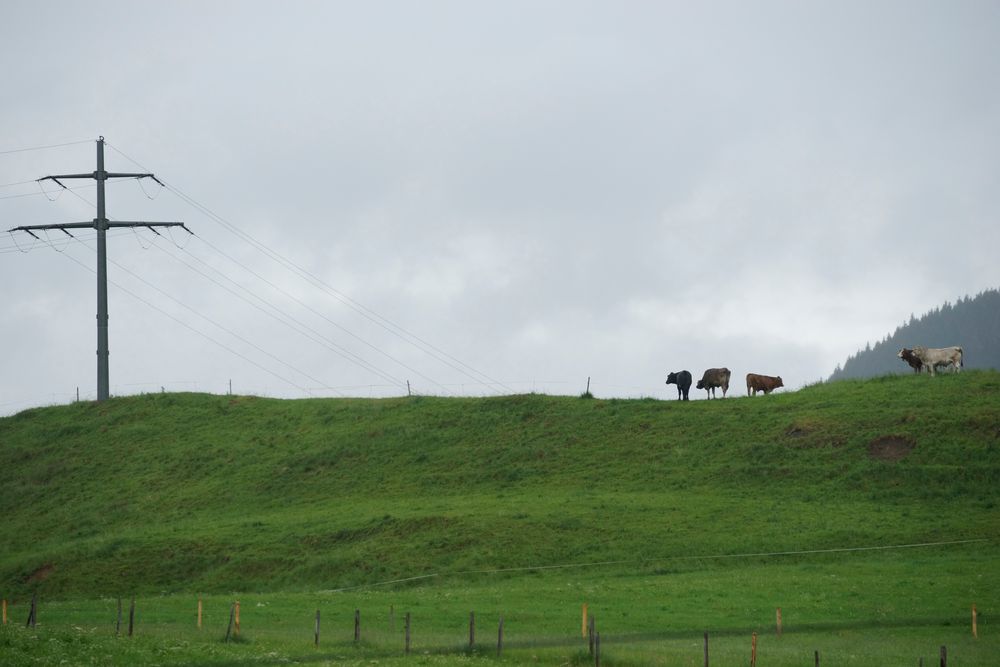 2020 Allgäu 2