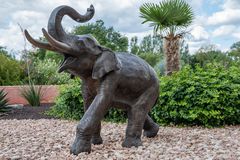 2020 Elefant im Garten