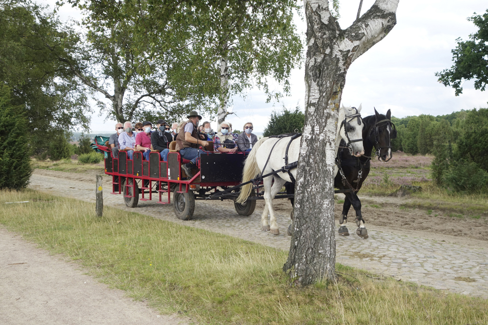 2020 Lüneburger Heide