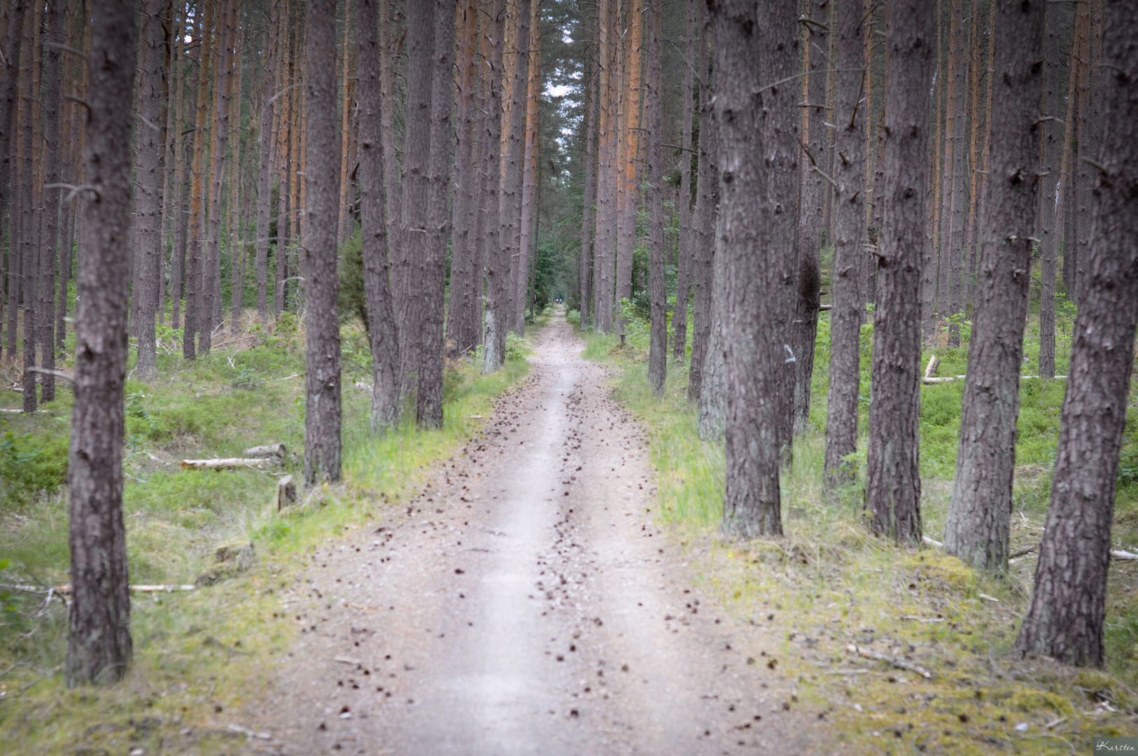 2020 | Oder-Neiße-Radweg: Guben - Lubmin