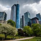 2020 Taunusanlage mit Hochhäusern des Bankenviertels in Frankfurt während der Corona-Pandemie