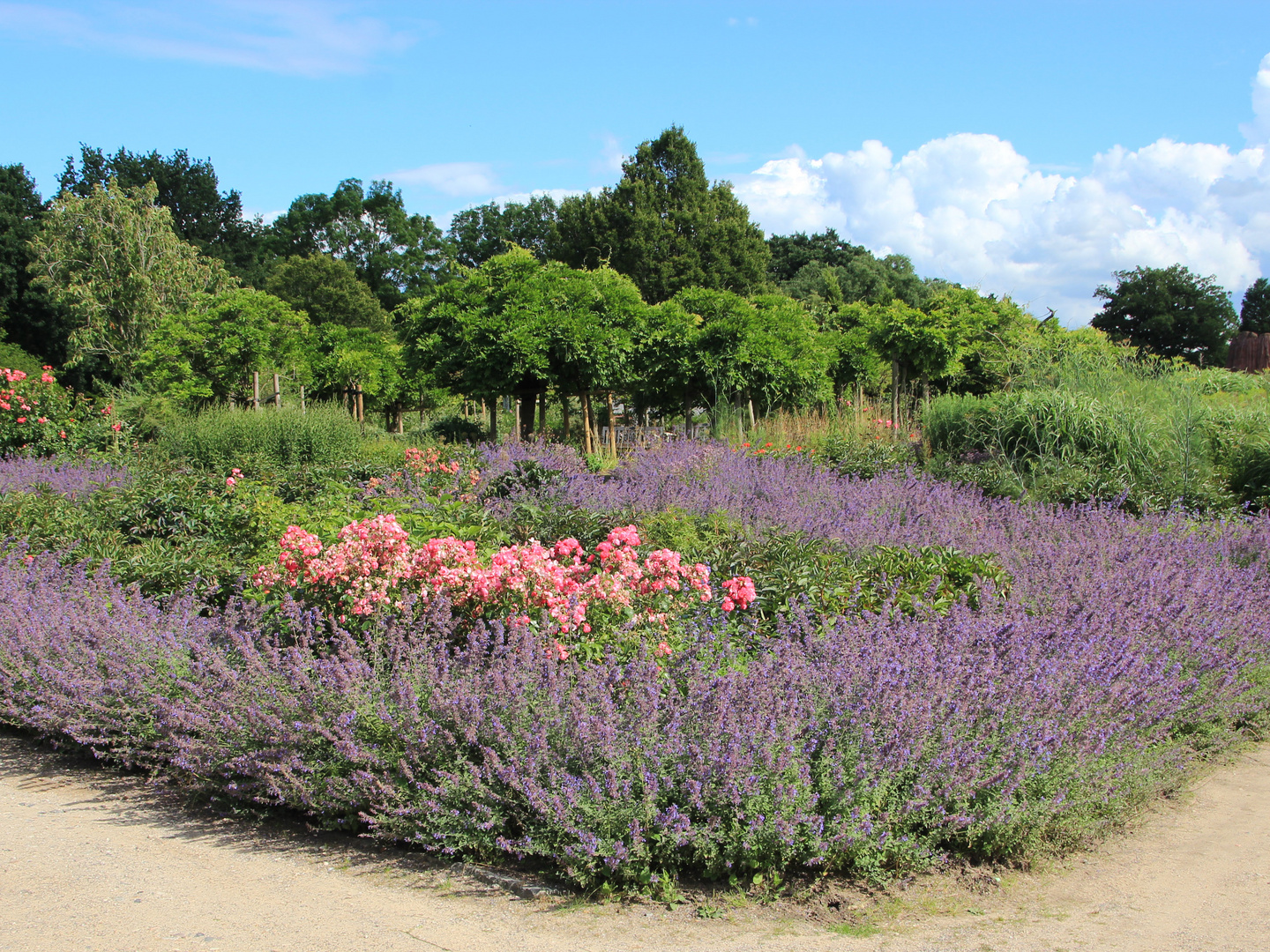 2020.07.15  Besuch Arboretum und Hamdorf (4)