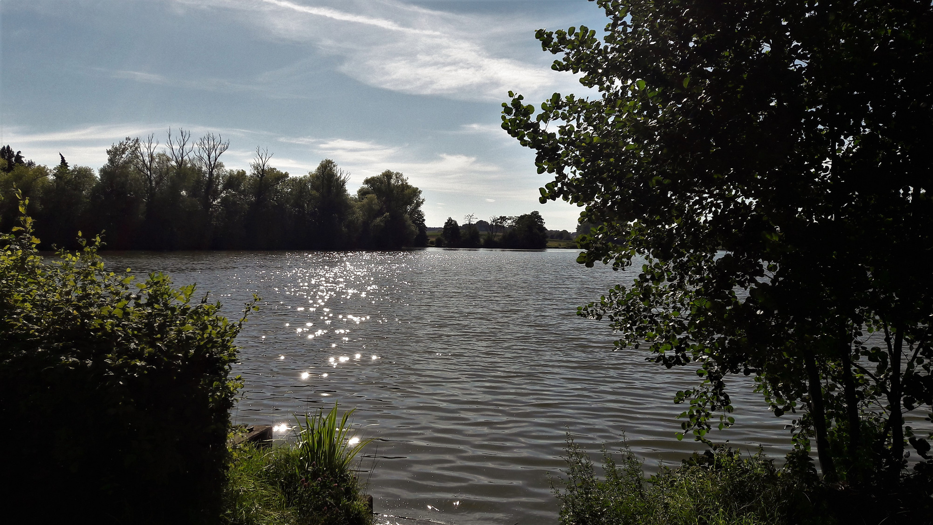 20200723 Walkweiher Dinkelsbühl Naturschutzgebiet