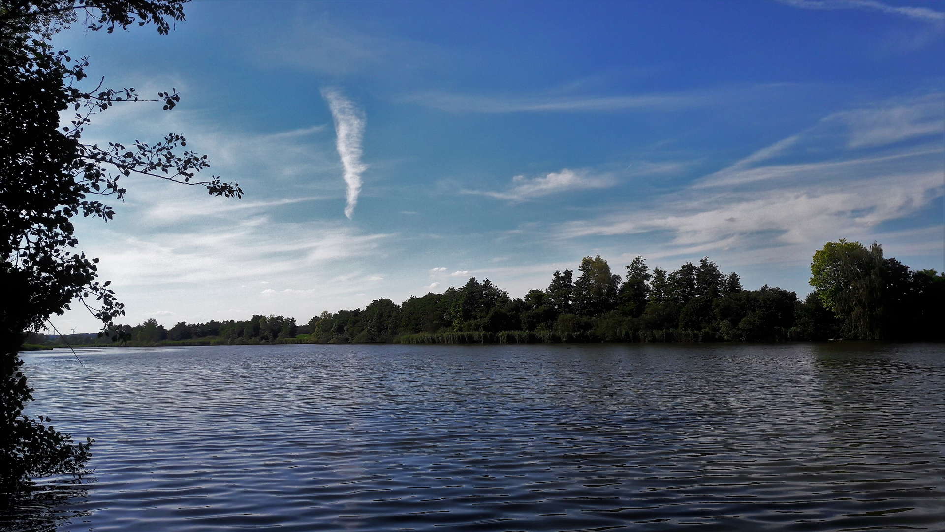 20200723 Walkweiher Dinkelsbühl Naturschutzgebiet