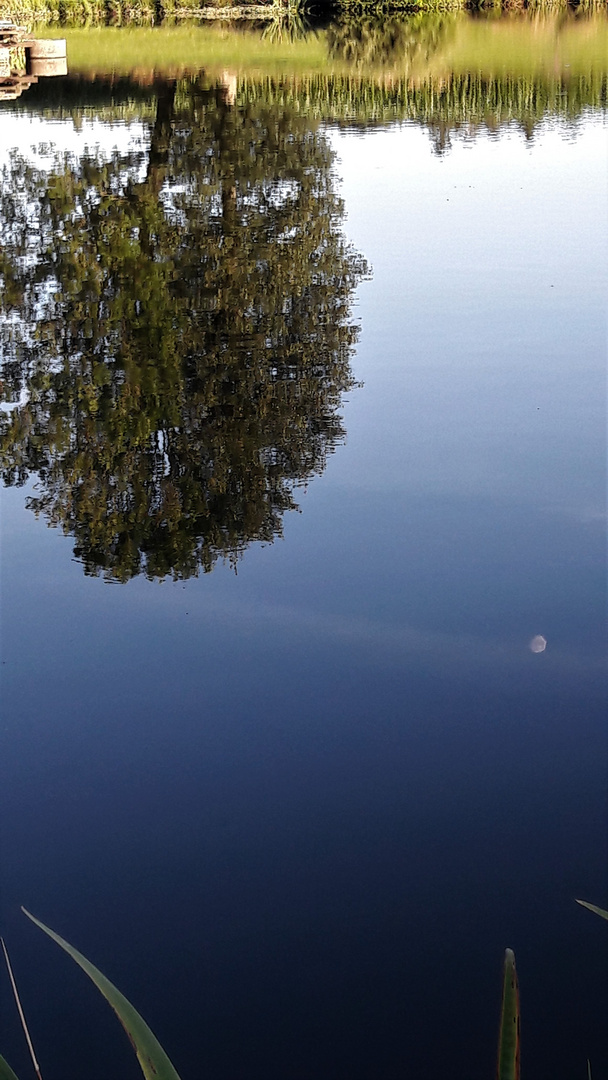 20200729 Dienstag ist Spiegeltag : Der Mond ist auf-und "untergegangen"