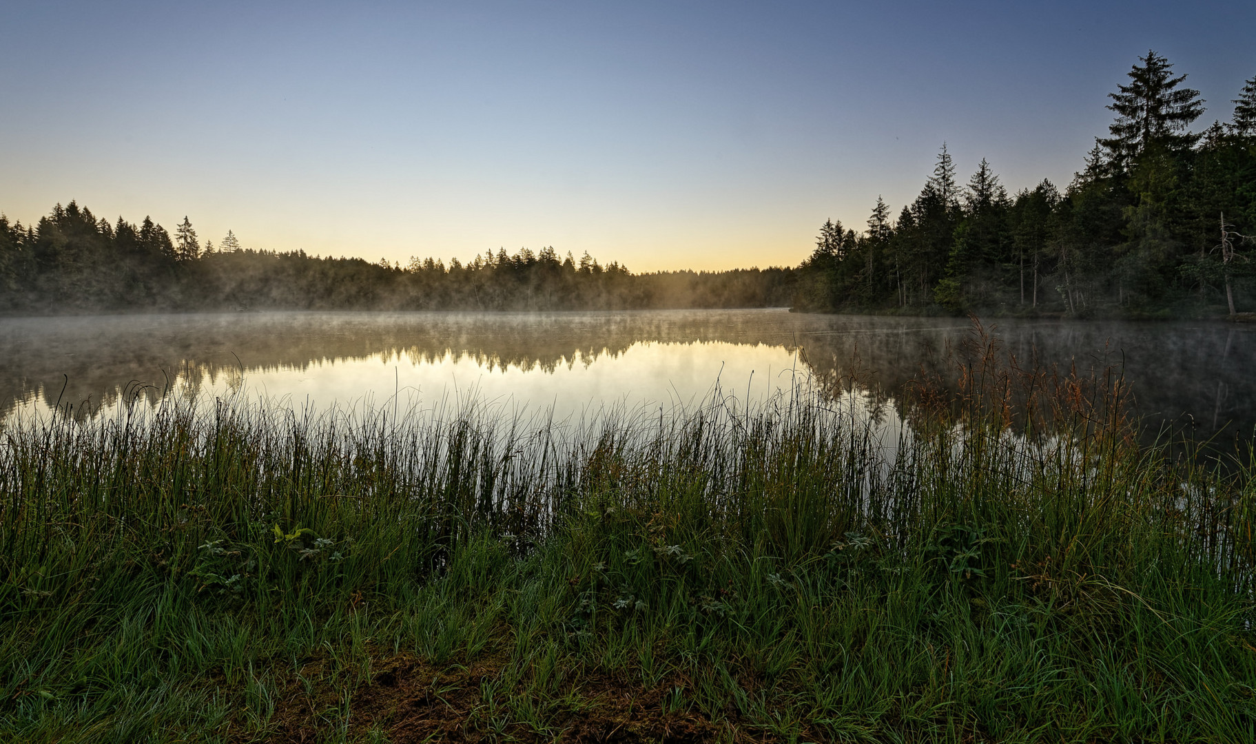 20200730_Saignelegier_Etang_de_la_Gruere_Sunrise