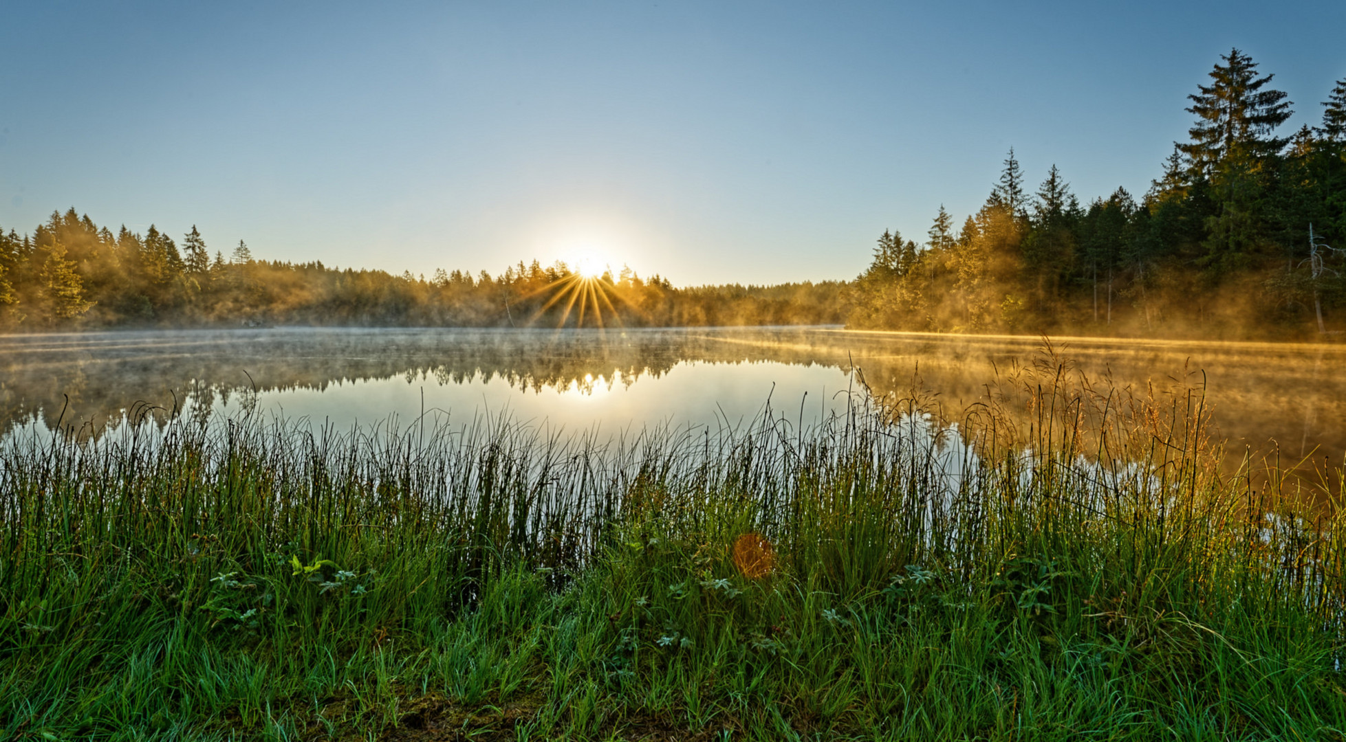 20200730_Saignelegier_Etang_de_la_Gruere_Sunrise_2