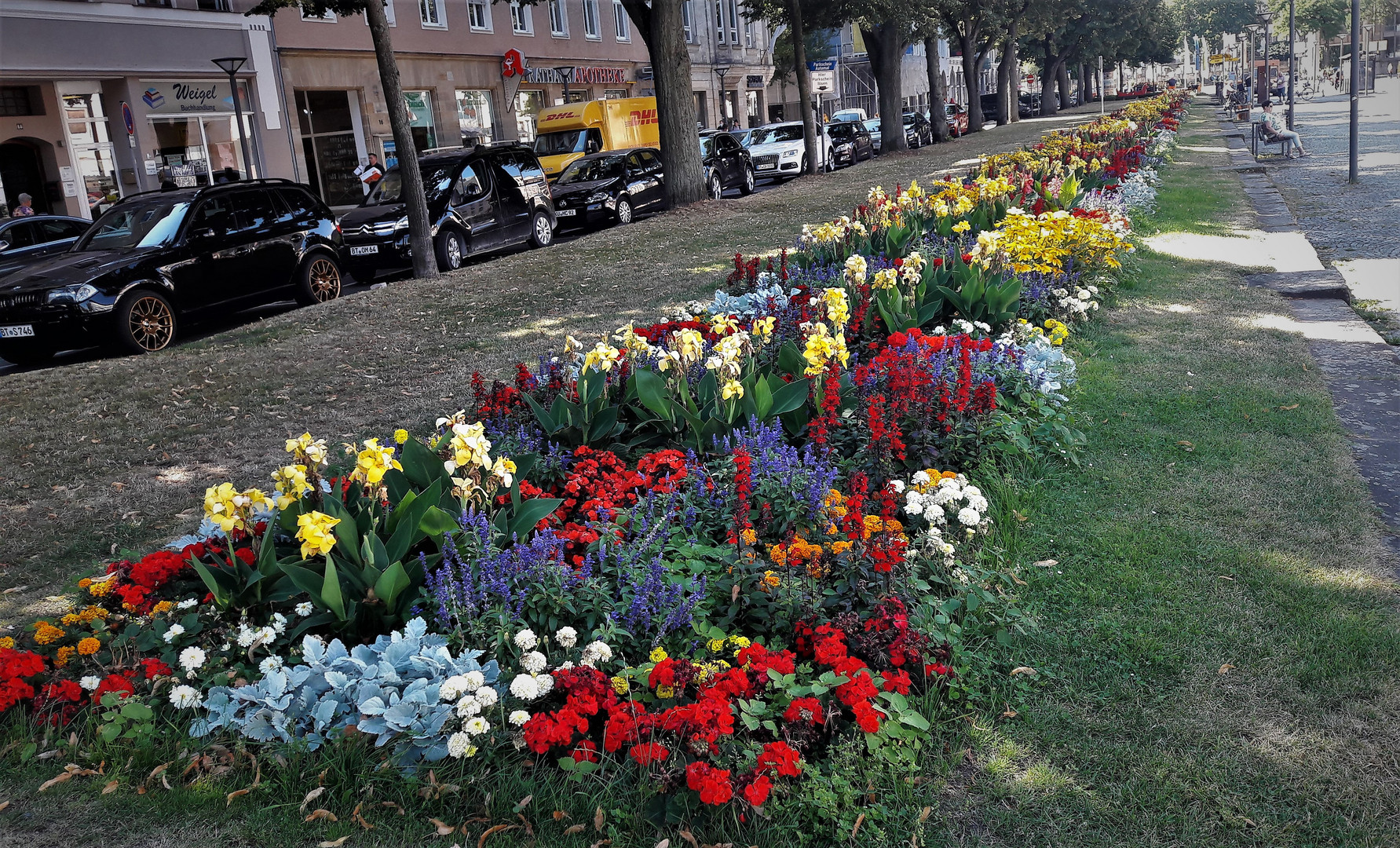 20200805 Bayreuth  Blumen und Schatten  führen in die Stadt