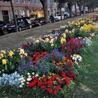 20200805 Bayreuth  Blumen und Schatten  führen in die Stadt